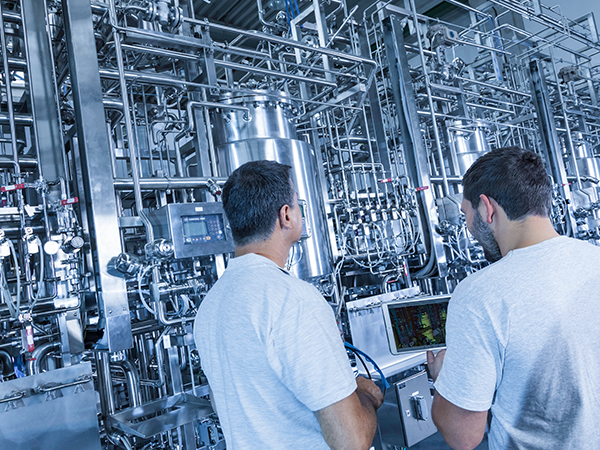 Back view of two people in front of large stainless steel skid, including vessels, pipes, devices